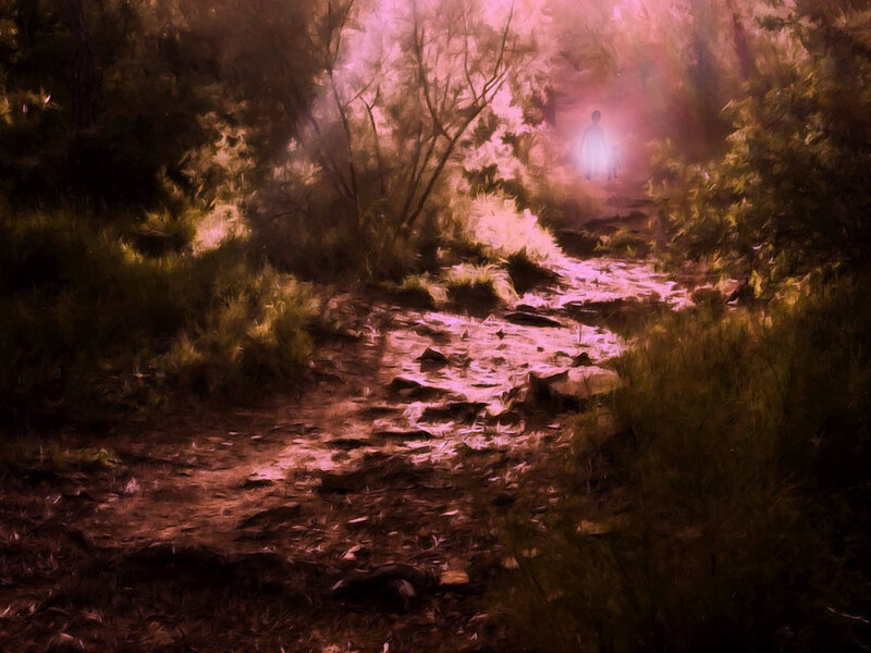 Silhouetted Figures in Forest — Pink