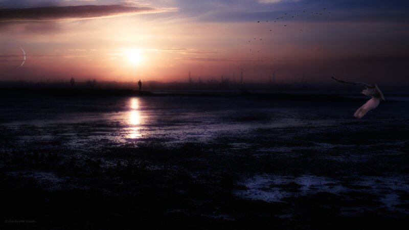Silhouetted Figures on Beach