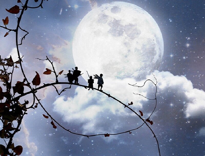 Silhouetted Figures on Branch
