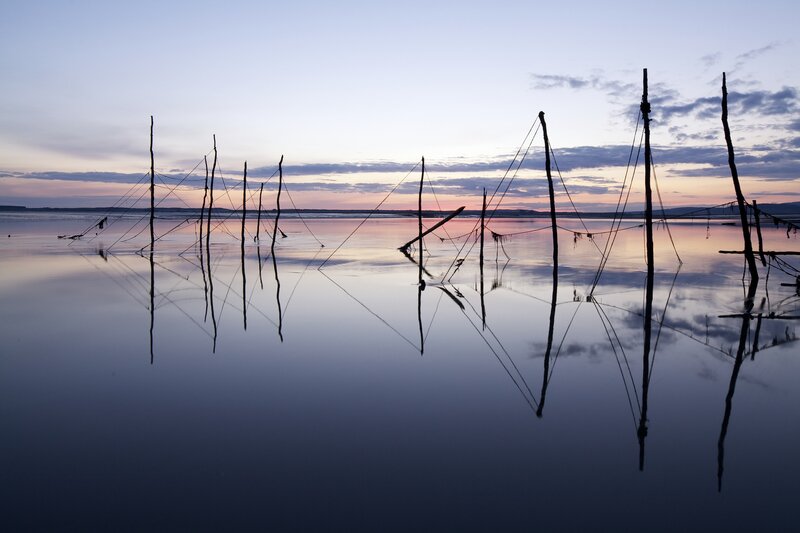 Silhouetted fishing poles at dusk