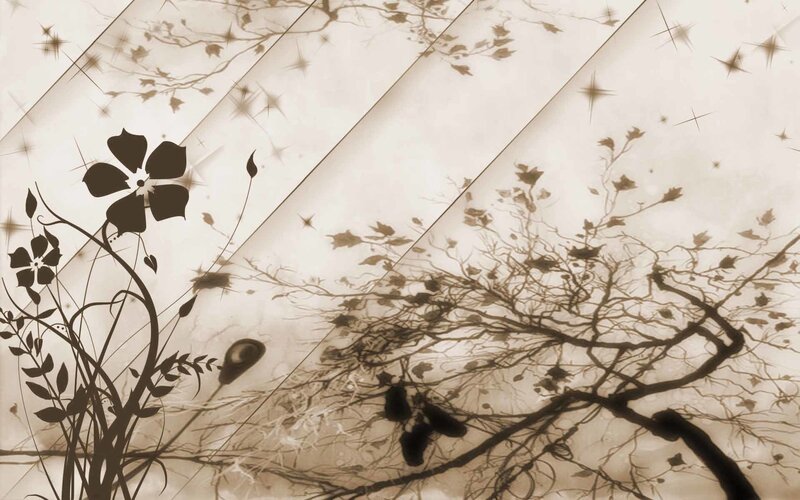 Silhouetted Flowers and Branches