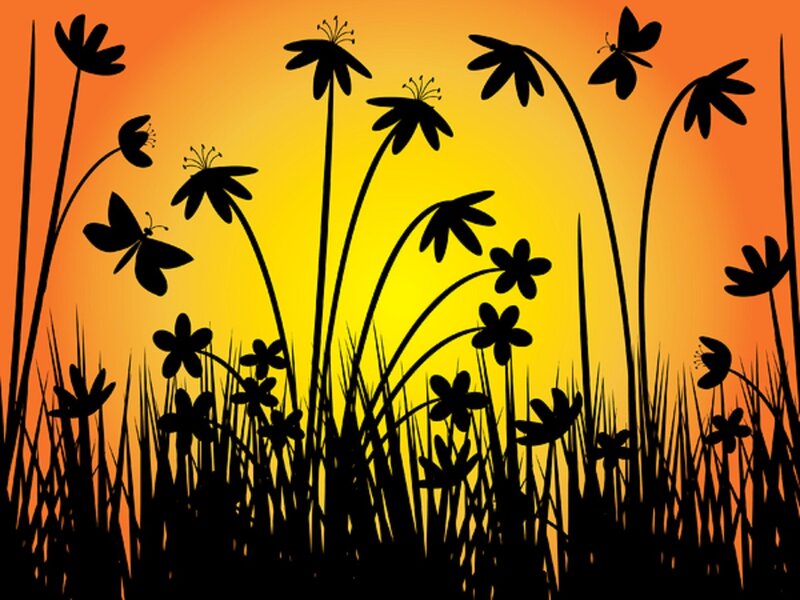 Silhouetted Flowers and Grass