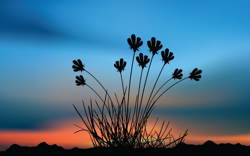Silhouetted Flowers at Sunset — Blue, Serene