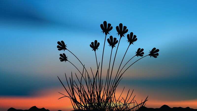 Silhouetted Flowers at Sunset — Blue