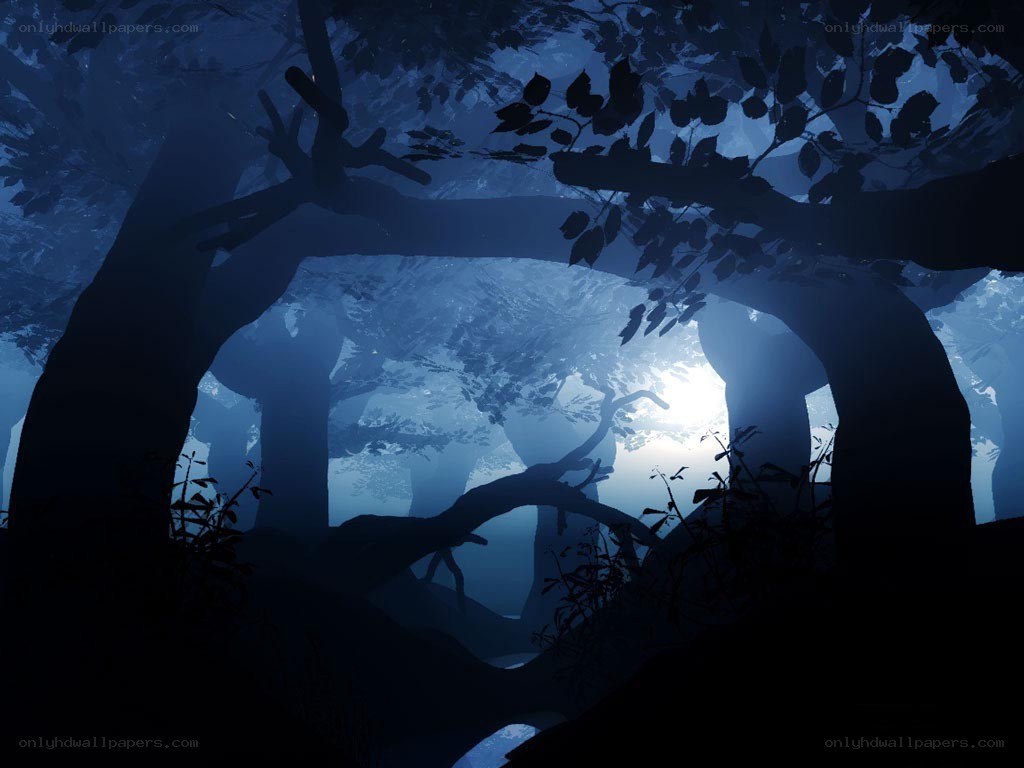 Silhouetted forest at dusk