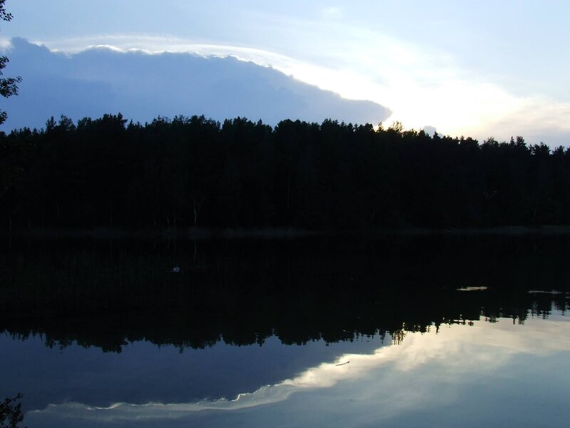 Silhouetted Forest at Lake