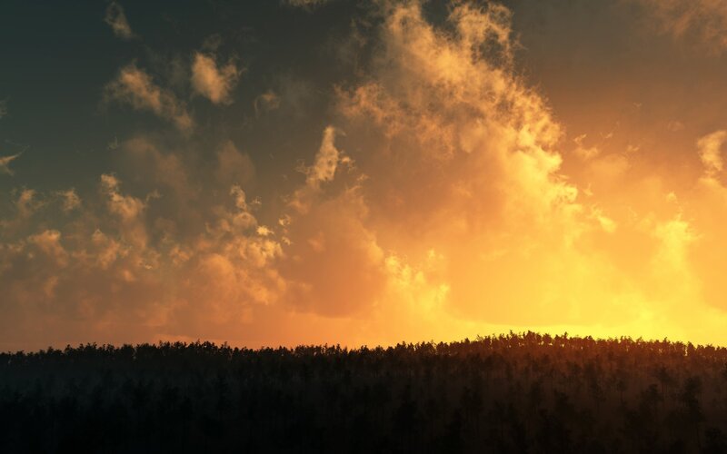 Silhouetted Forest at Sunset — Orange, Dramatic, Digital Art, Sky