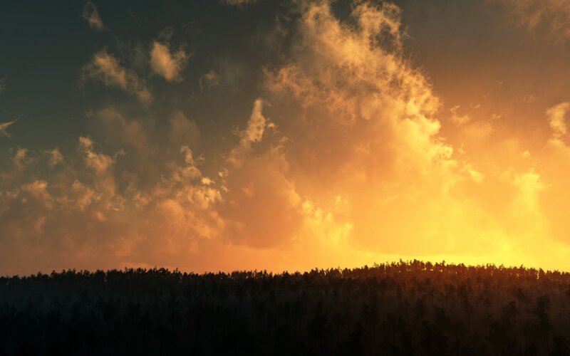 Silhouetted Forest at Sunset — Orange, Dramatic, Digital Art