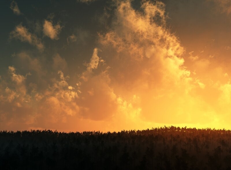 Silhouetted Forest at Sunset — Orange, Dramatic, Photograph, Sky