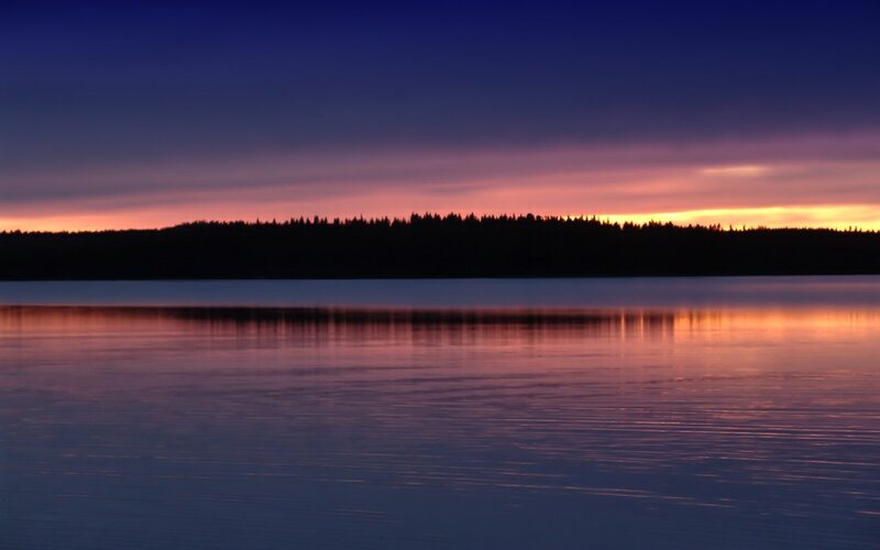 Silhouetted Forest at Sunset — Purple, Serene