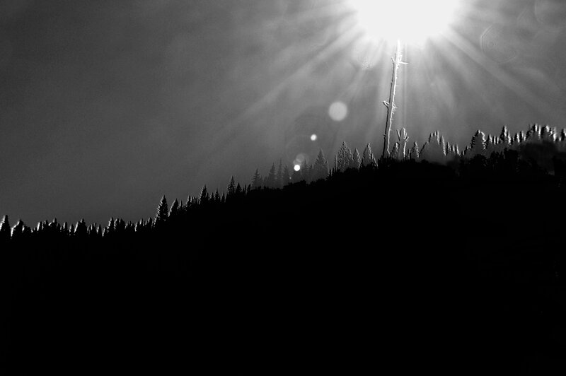 Silhouetted Forest Hill