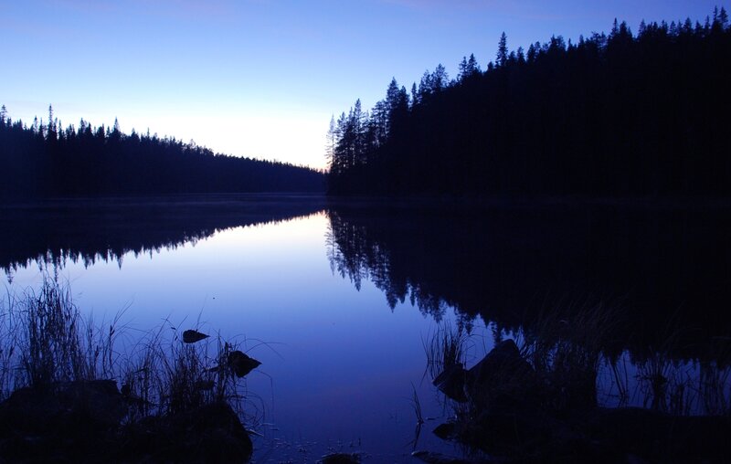 Silhouetted Forest Lake