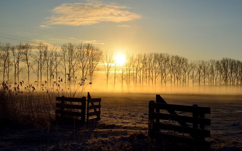 Silhouetted Gates at Sunrise
