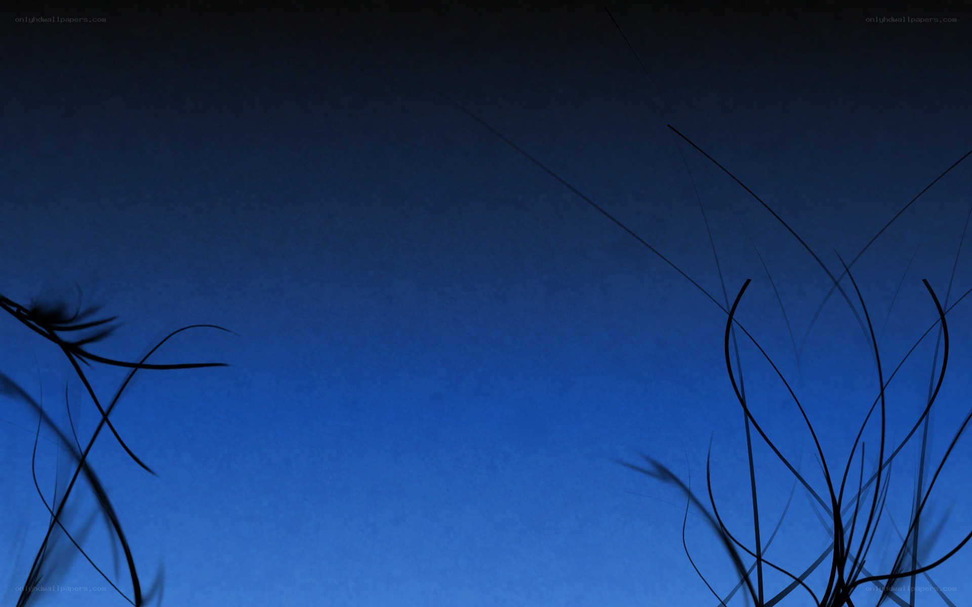 silhouetted grass against blue sky