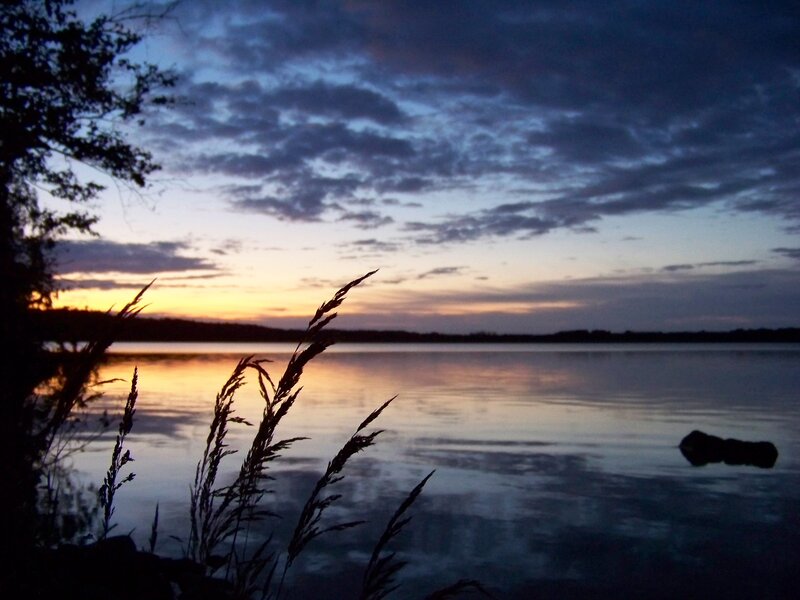 Silhouetted Grass at Lake — Blue