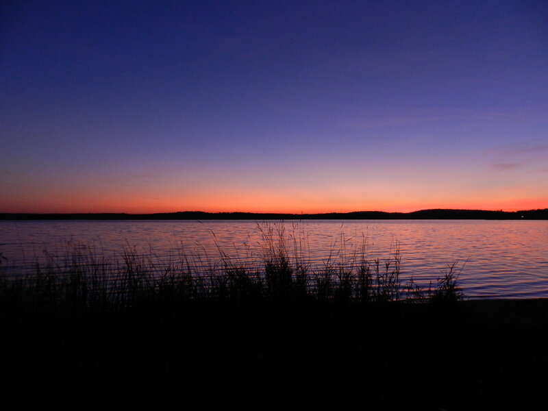 Silhouetted Grass at Lake