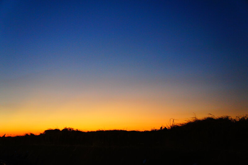 Silhouetted Grass at Sunset — Blue, Serene