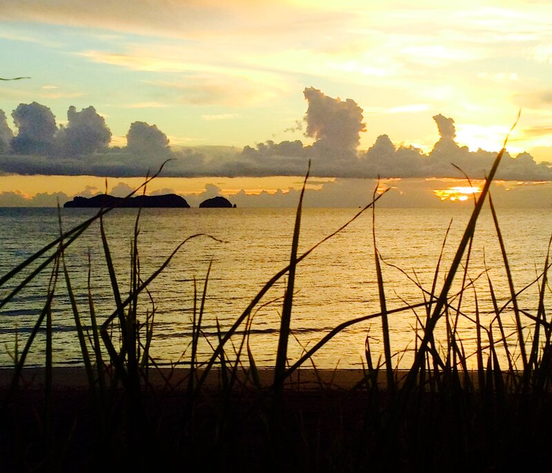 Silhouetted Grass at Sunset — Gold, Serene, Photograph
