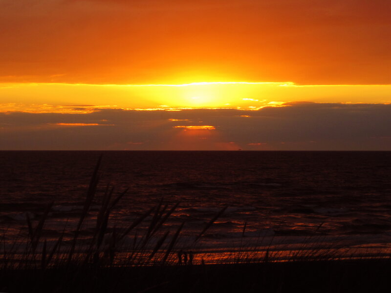 Silhouetted Grass at Sunset — Orange, Dramatic, Photograph, Ocean