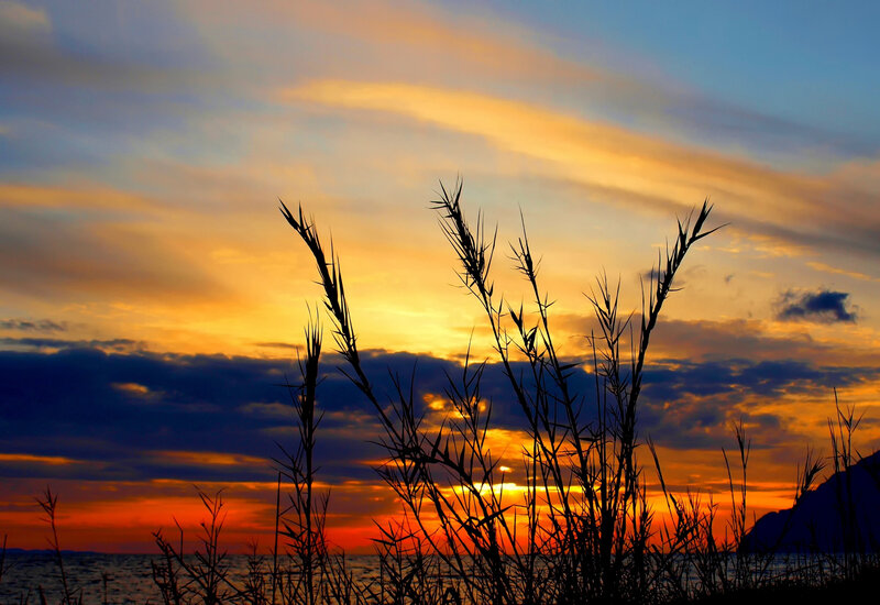 Silhouetted Grass at Sunset — Orange, Dramatic, Photograph, Sky, Clouds