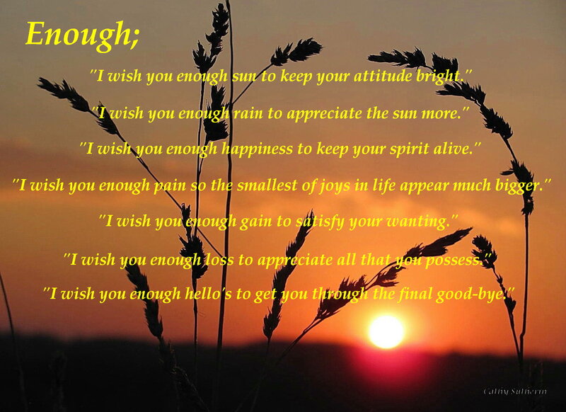 Silhouetted Grass at Sunset — Orange, Reflective