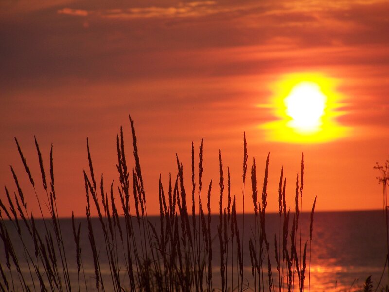 Silhouetted Grass at Sunset — Orange, Serene, Photograph, Sun, Ocean, Sky