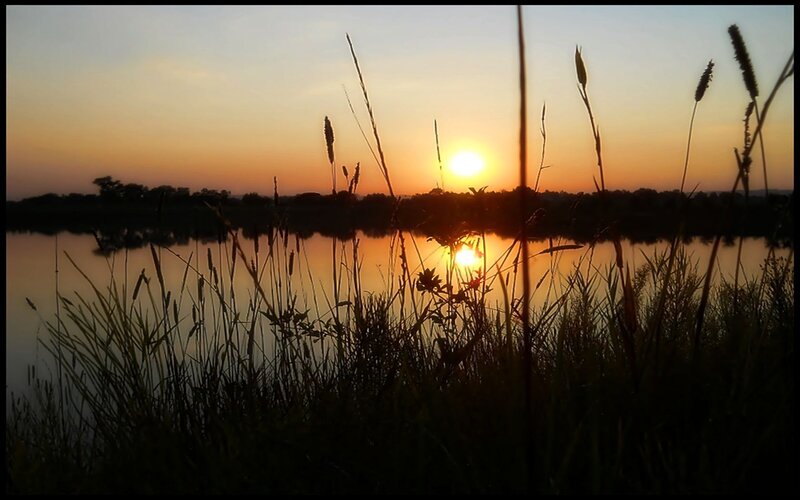 Silhouetted Grass at Sunset — Orange, Serene, Photograph, Sun, River