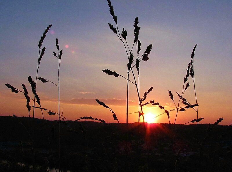 Silhouetted Grass at Sunset — Orange, Serene, Photograph, Sun, Sky, Hills