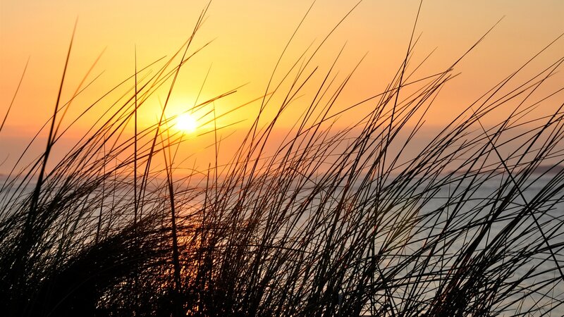 Silhouetted Grass at Sunset — Orange, Serene, Photograph, Sun, Sky, Sea