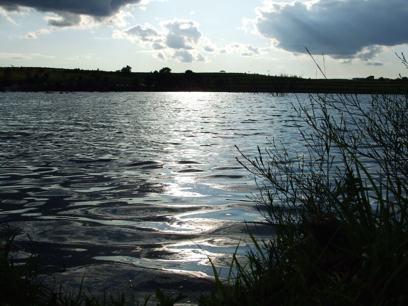 Silhouetted Grass by Lake