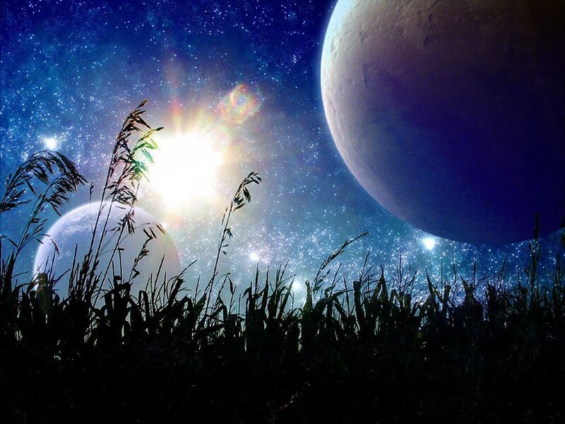 Silhouetted Grass under Planets
