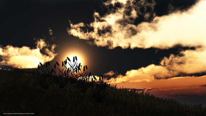 Silhouetted Grasses at Sunset — Orange, Dramatic, Digital Art