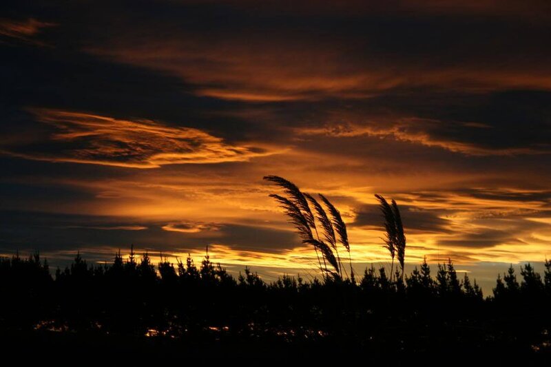 Silhouetted Grasses at Sunset — Orange, Dramatic