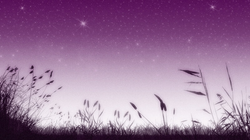 Silhouetted Grasses under Stars