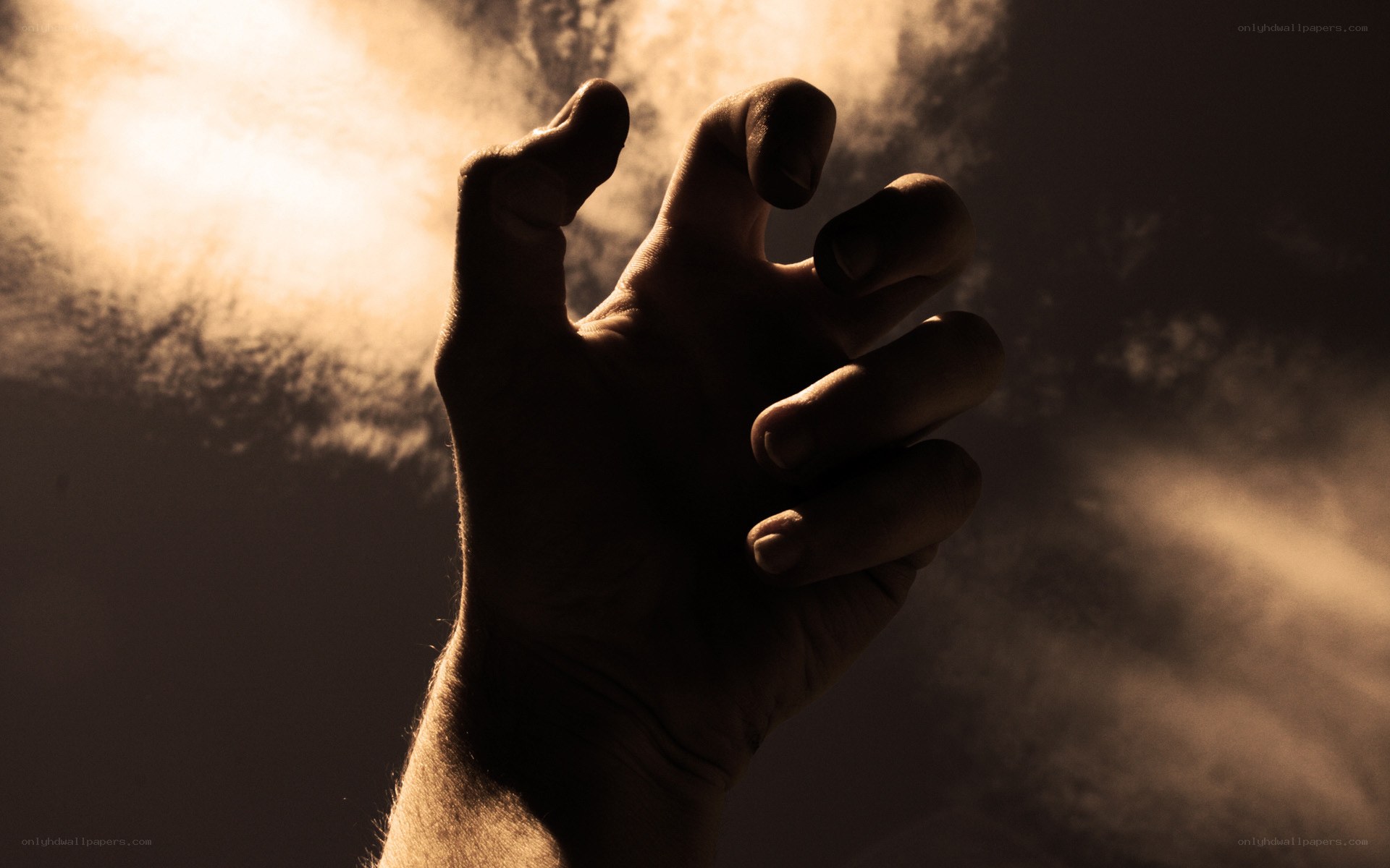 silhouetted hand reaching up