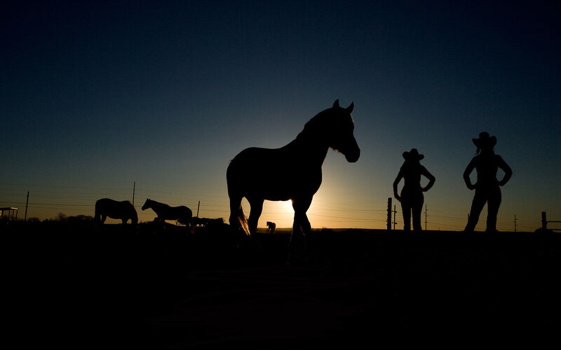 Silhouetted Horses and Cowgirls
