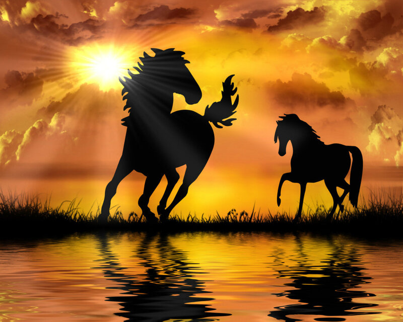 Silhouetted Horses at Sunset — Orange, Dramatic