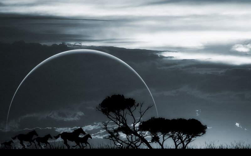 Silhouetted Horses Running — Black, Dramatic