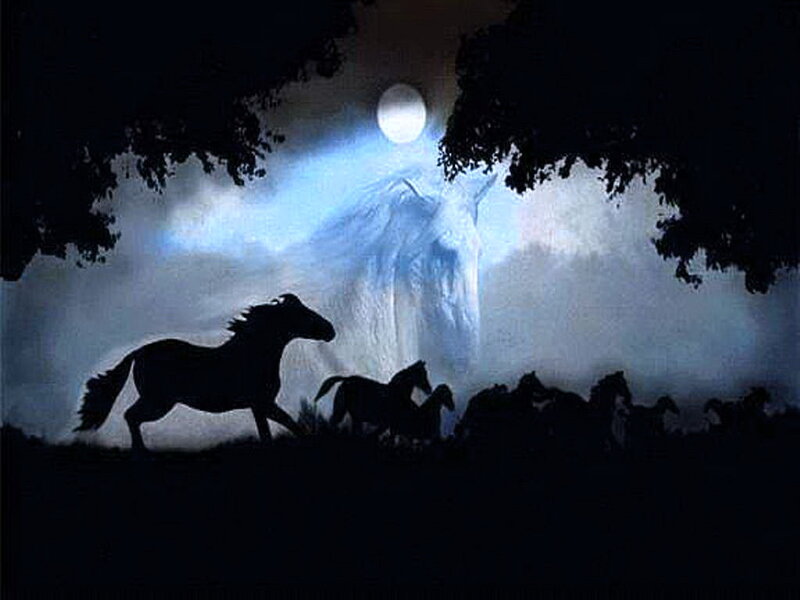 Silhouetted Horses Running — Black