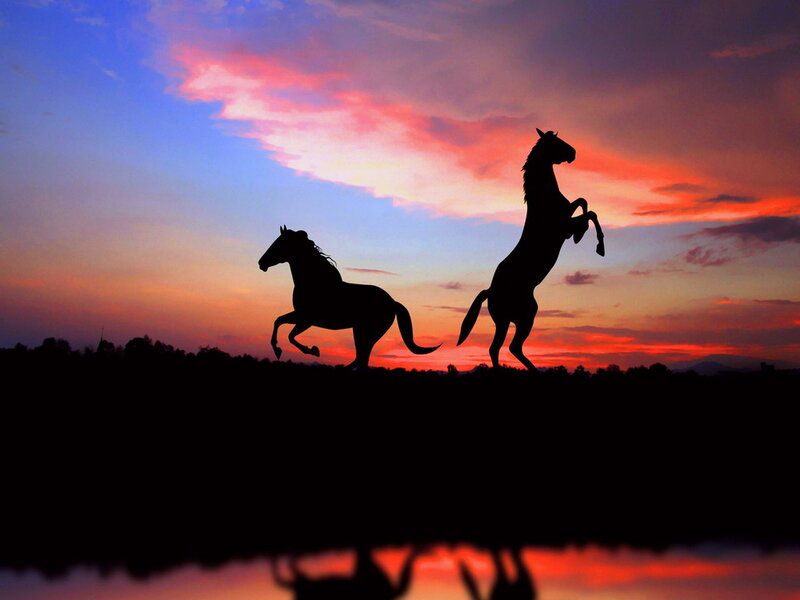 Silhouetted Horses Running — Blue, Dramatic