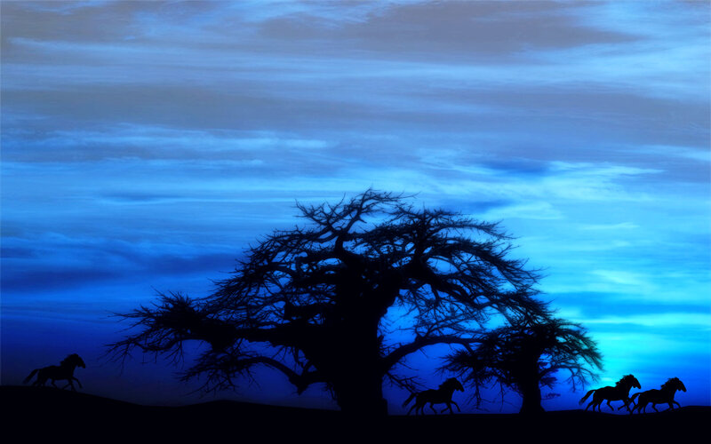 Silhouetted Horses Running — Blue