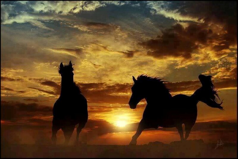 Silhouetted Horses Running — Orange, Dramatic, Sunset, Digital Art