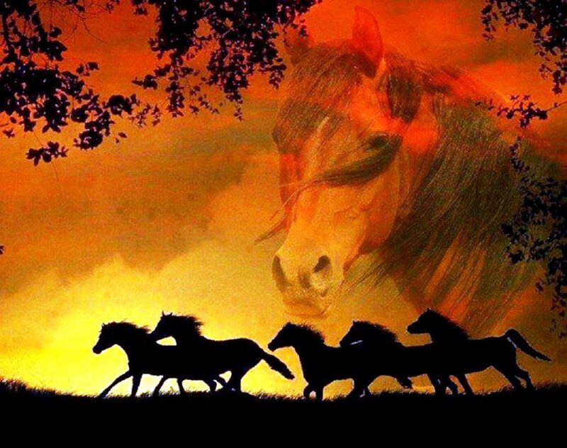 Silhouetted Horses Running — Orange, Dramatic, Sunset, Illustration