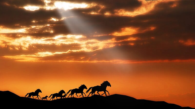 Silhouetted Horses Running — Orange, Dramatic, Sunset, Photograph, Clouds