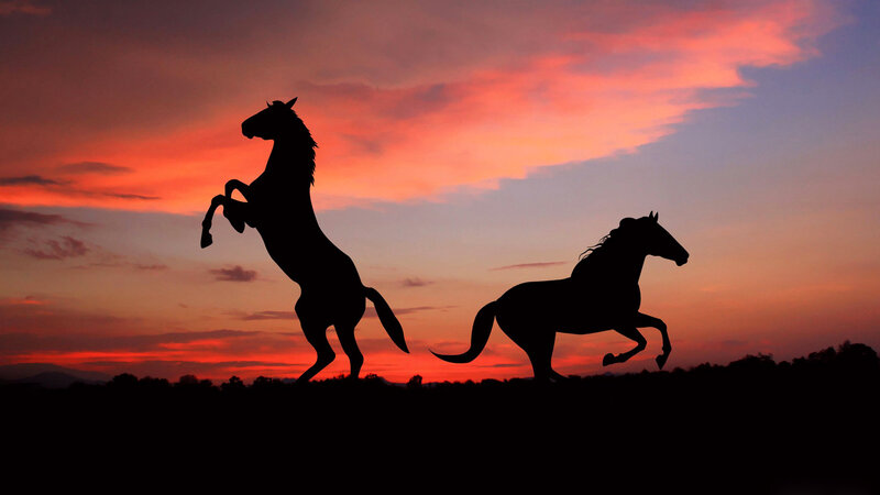 Silhouetted Horses Running — Orange, Dramatic, Sunset, Photograph, Sky, Horizon