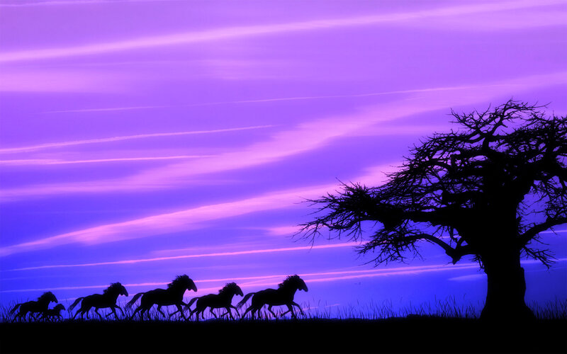 Silhouetted Horses Running — Purple