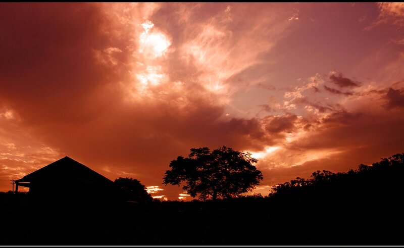 Silhouetted House and Tree — Orange
