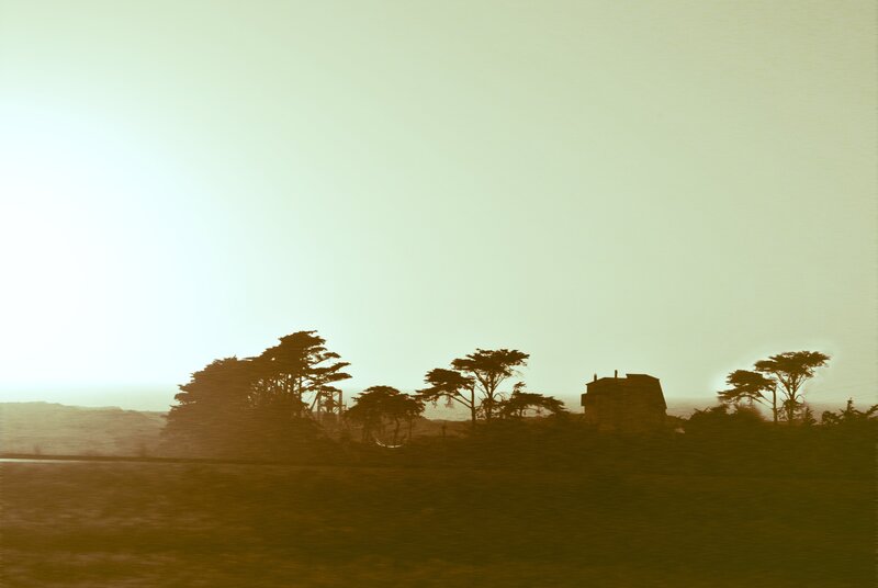 Silhouetted House and Trees