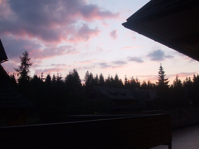 Silhouetted Houses and Trees
