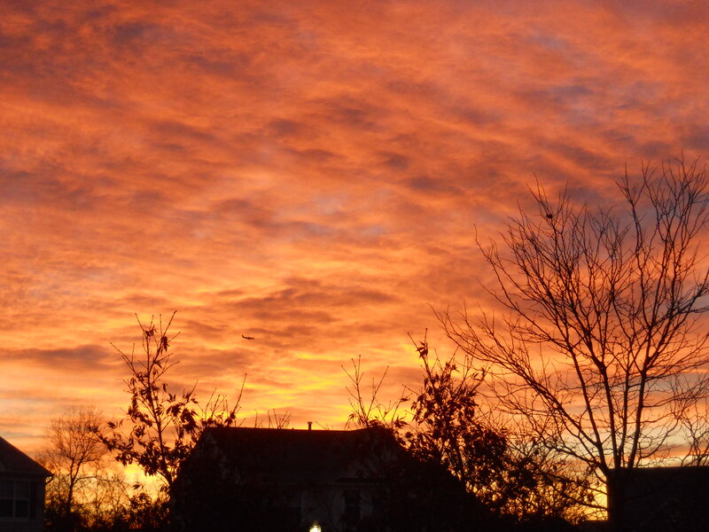 Silhouetted Houses at Sunset — Orange, Dramatic, Photograph, Trees, Sky